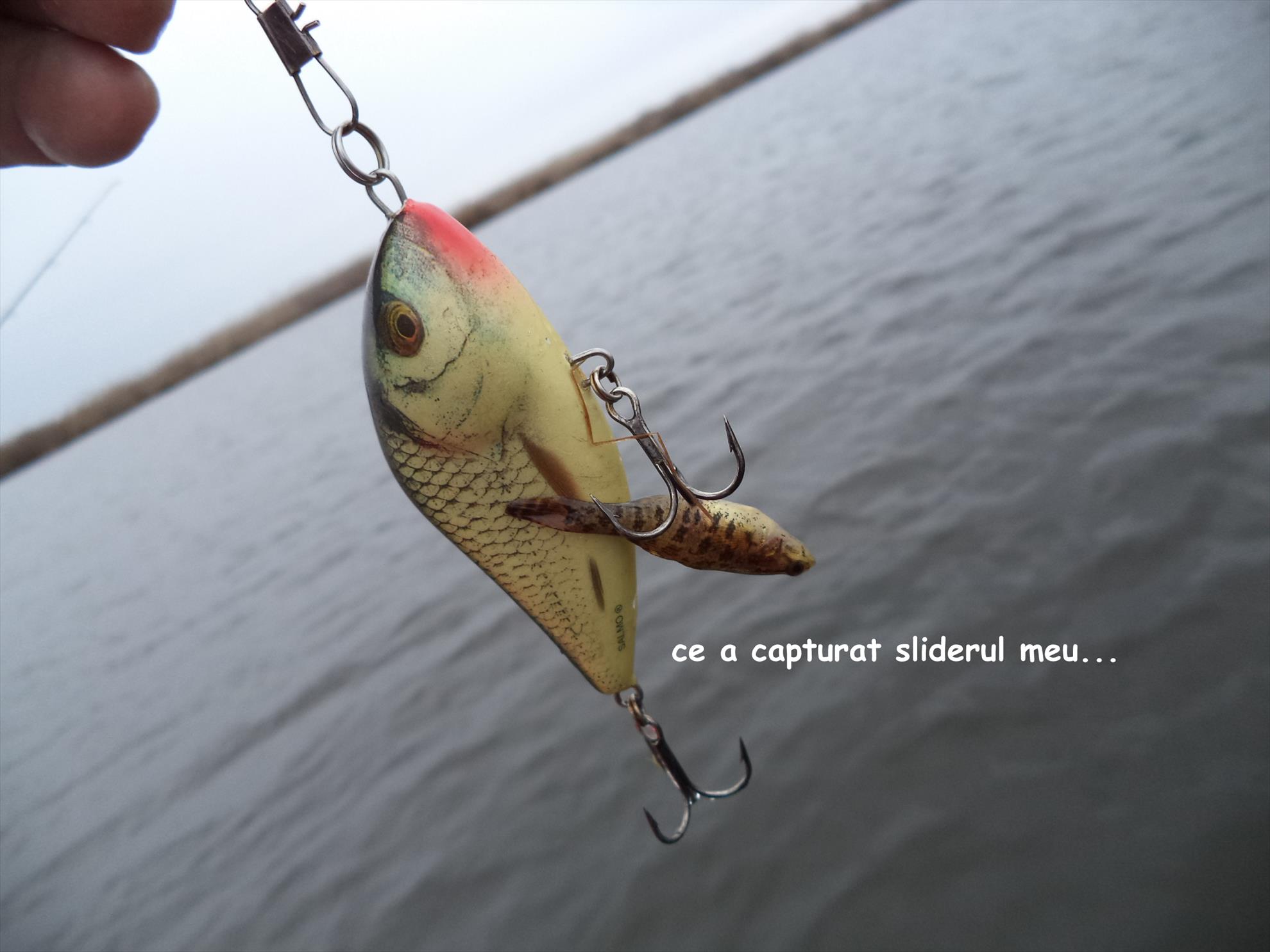 O vizita la niste cumetre...stiuci - dsc00796.JPG